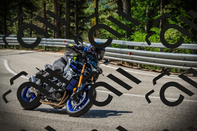 202507191127-DSC03486_c1_