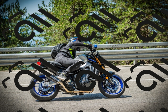 202507191127-DSC03487_c1_