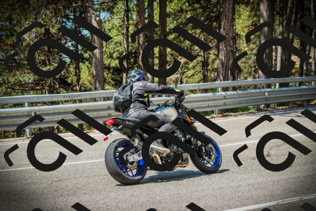 202507191127-DSC03488_c1_