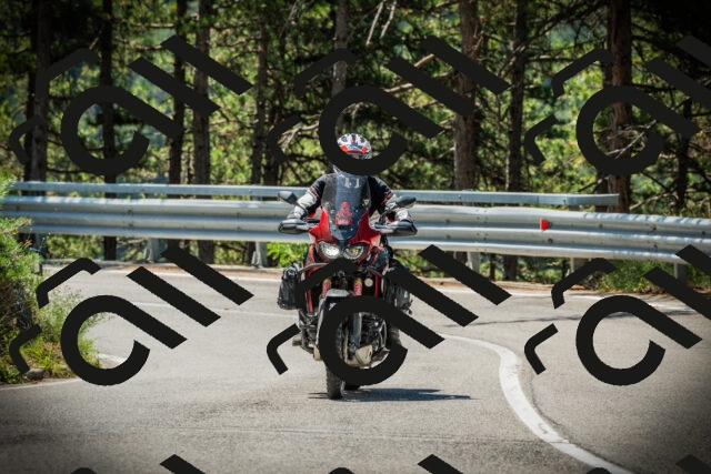 202507191127-DSC03491_c1_