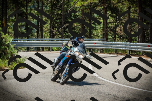 202507191128-DSC03498_c1_