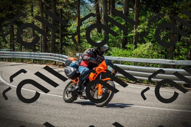 202507191128-DSC03504_c1_