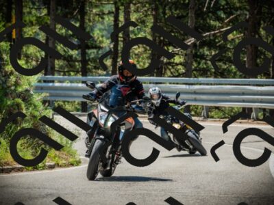 202507191129-DSC03527_c1_