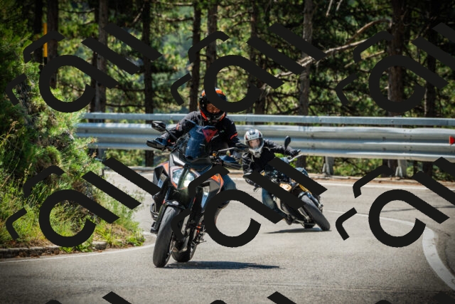 202507191129-DSC03527_c1_