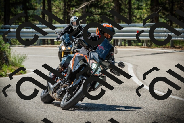 202507191129-DSC03528_c1_