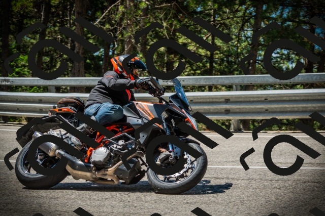 202507191129-DSC03529_c1_