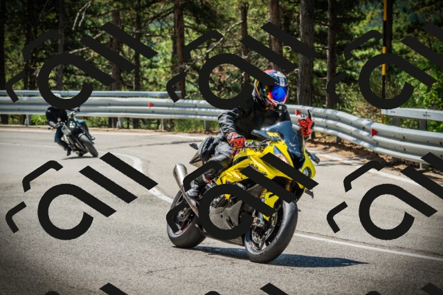 202507191129-DSC03533_c1_