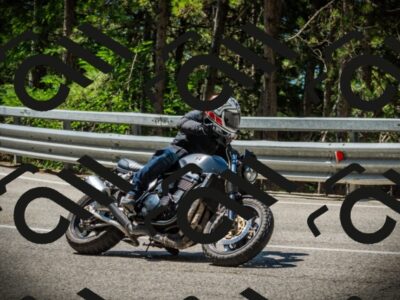 202507191129-DSC03536_c1_