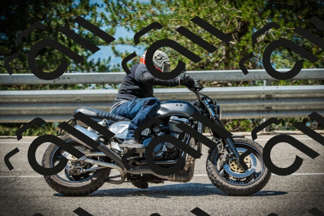 202507191129-DSC03537_c1_