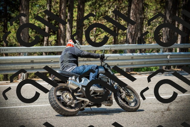 202507191129-DSC03538_c1_