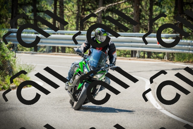 202507191129-DSC03539_c1_