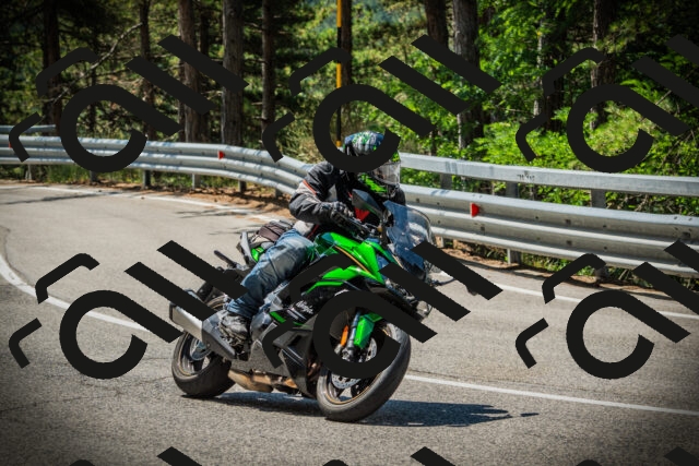 202507191129-DSC03540_c1_