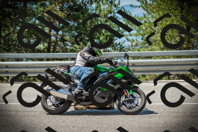 202507191129-DSC03541_c1_