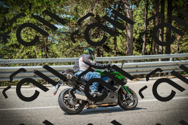 202507191129-DSC03542_c1_