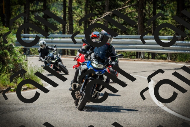 202507191129-DSC03544_c1_