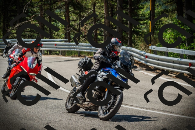 202507191129-DSC03545_c1_