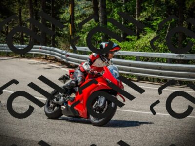 202507191129-DSC03546_c1_