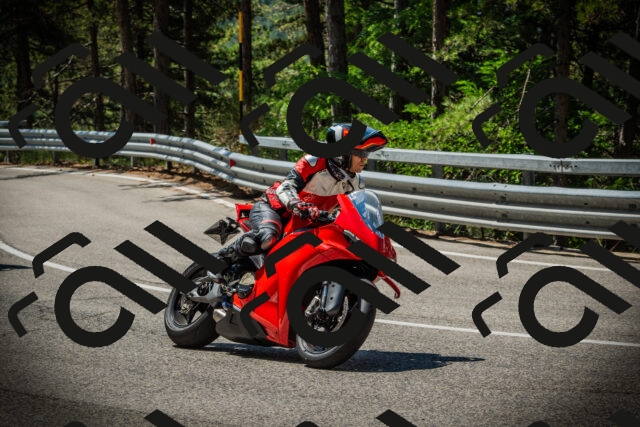 202507191129-DSC03546_c1_