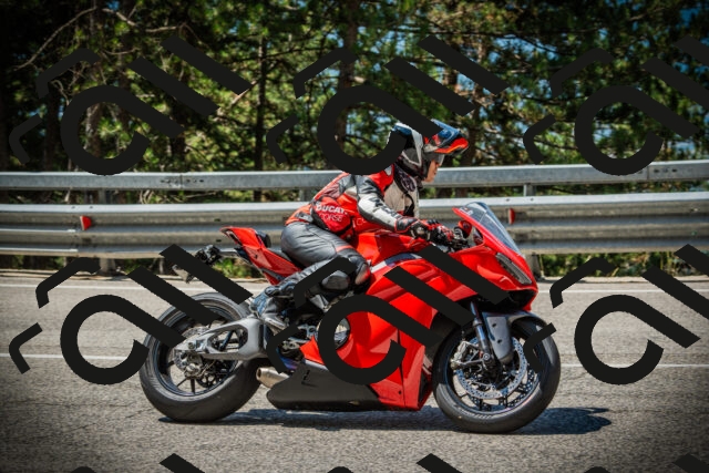 202507191129-DSC03547_c1_