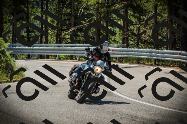 202507191130-DSC03561_c1_