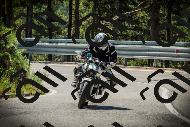 202507191130-DSC03565_c1_