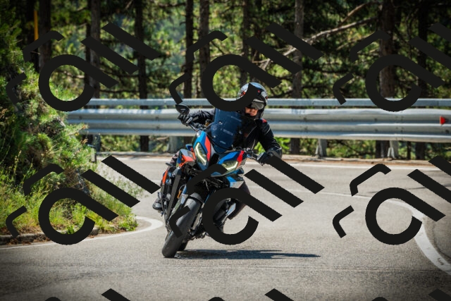 202507191130-DSC03569_c1_