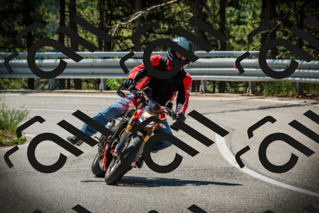 202507191130-DSC03575_c1_