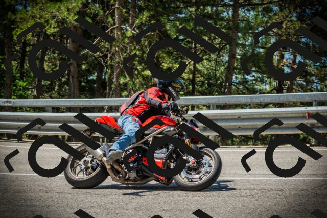 202507191130-DSC03576_c1_