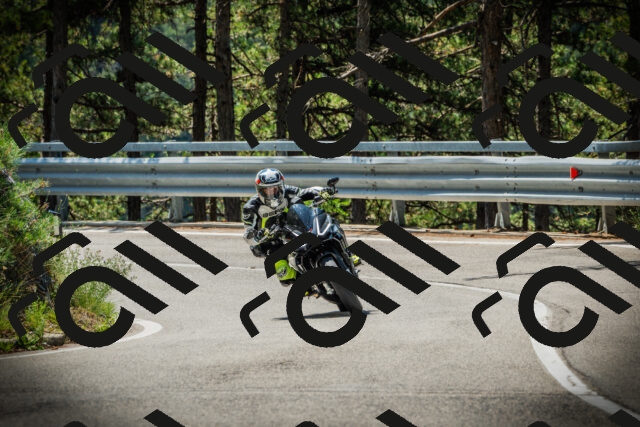 202507191131-DSC03579_c1_