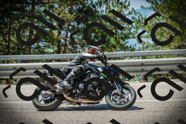 202507191132-DSC03591_c1_