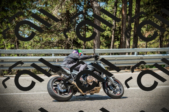 202507191132-DSC03597_c1_