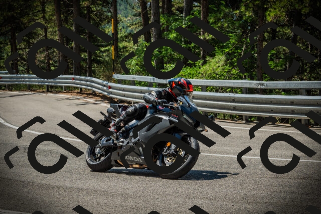 202507191132-DSC03603_c1_