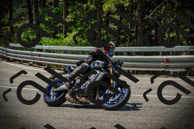 202507191132-DSC03604_c1_