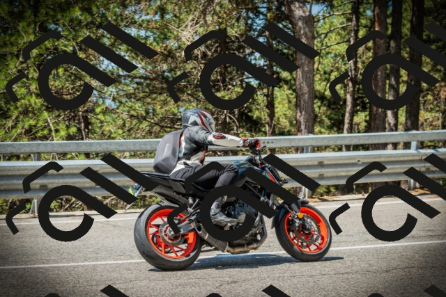 202507191132-DSC03607_c1_