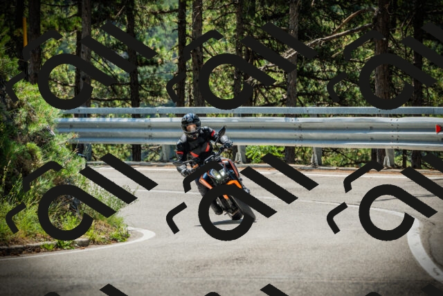 202507191133-DSC03608_c1_