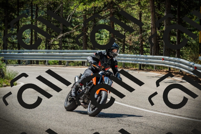 202507191133-DSC03611_c1_