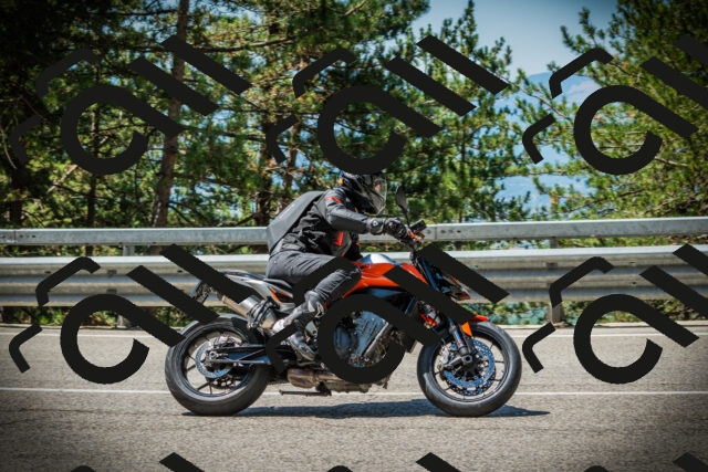 202507191133-DSC03612_c1_