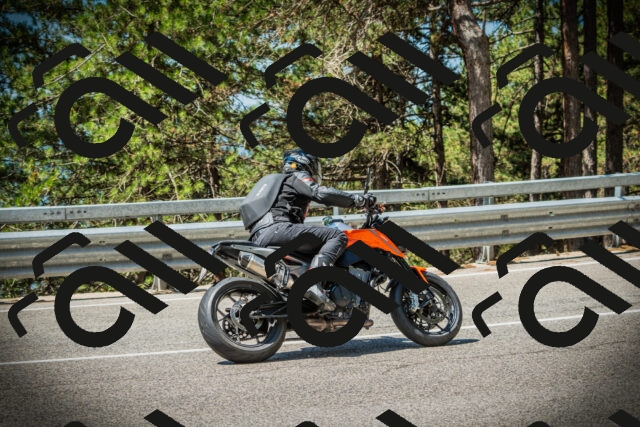 202507191133-DSC03613_c1_