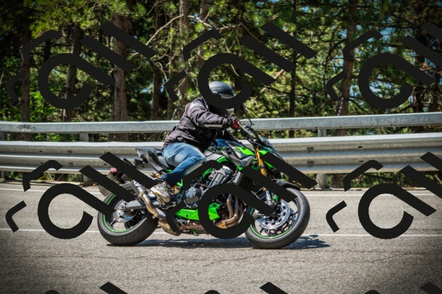 202507191133-DSC03616_c1_