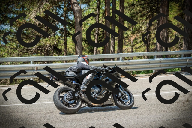 202507191133-DSC03625_c1_