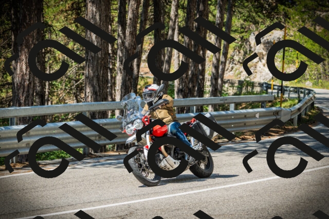 202507191136-DSC03628_c1_