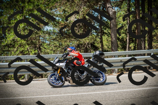 202507191136-DSC03630_c1_