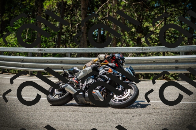 202507191136-DSC03634_c1_