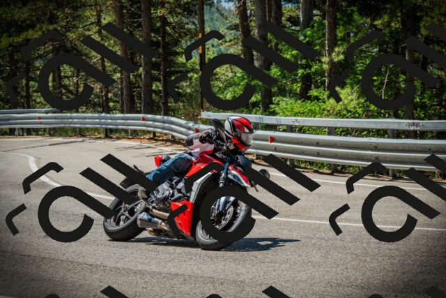 202507191136-DSC03640_c1_