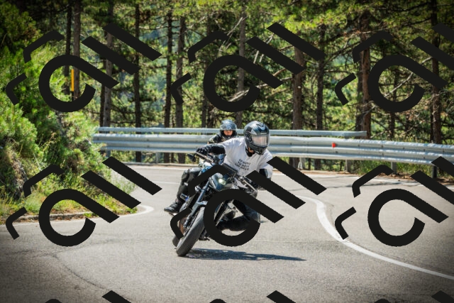 202507191137-DSC03650_c1_