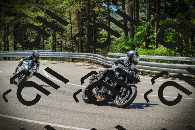 202507191137-DSC03651_c1_