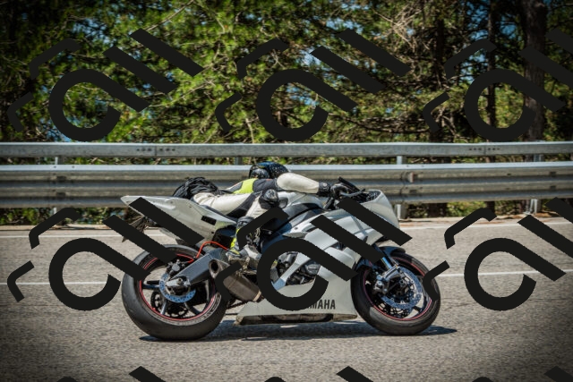 202507191137-DSC03653_c1_