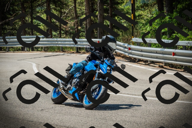 202507191137-DSC03655_c1_