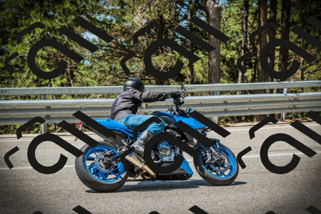 202507191137-DSC03657_c1_