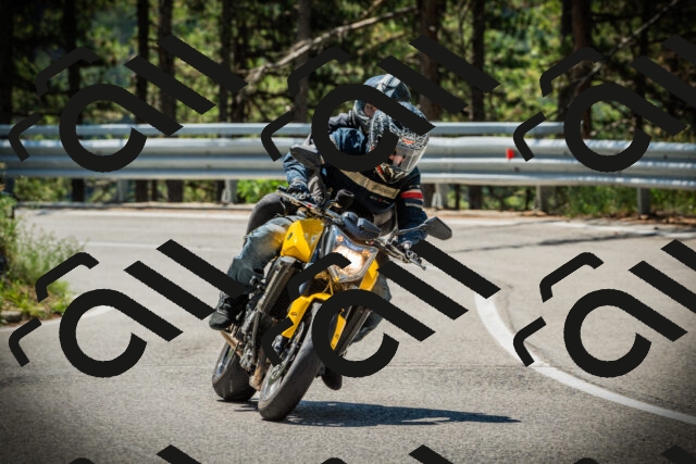 202507191137-DSC03659_c1_